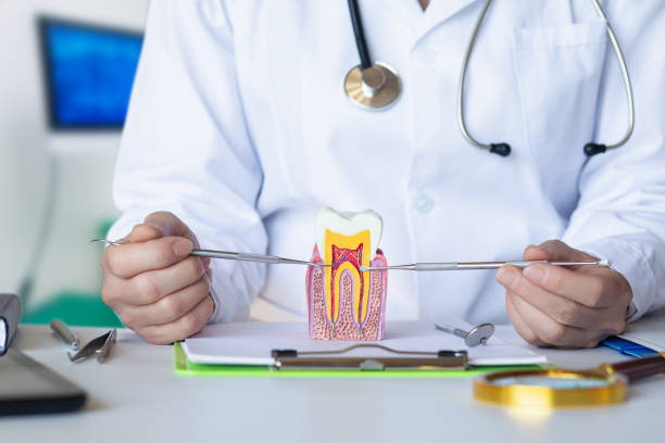 Best Emergency Treatment for Dental Infections or Abscesses in Palisade, CO
